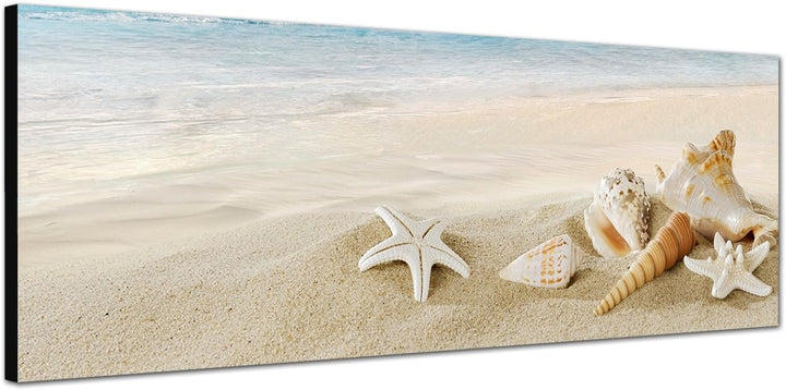 Paul Sinus Art Panoramabild auf Leinwand und Keilrahmen 150x50cm Sandstrand Meer Muscheln Schneckenh
