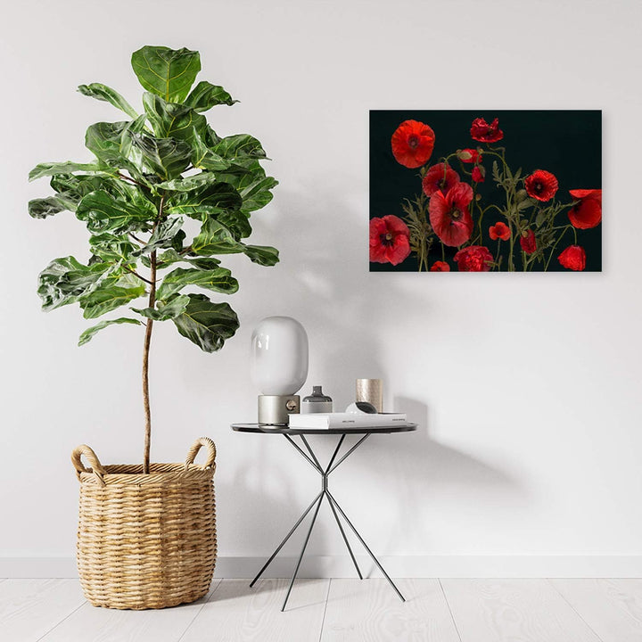 Feeby Wanddeko Mohn Bild Kunstdruck modern Pflanzen Rot 80x60 cm Deko Paneel 80x60 cm Rot_B, Deko Pa