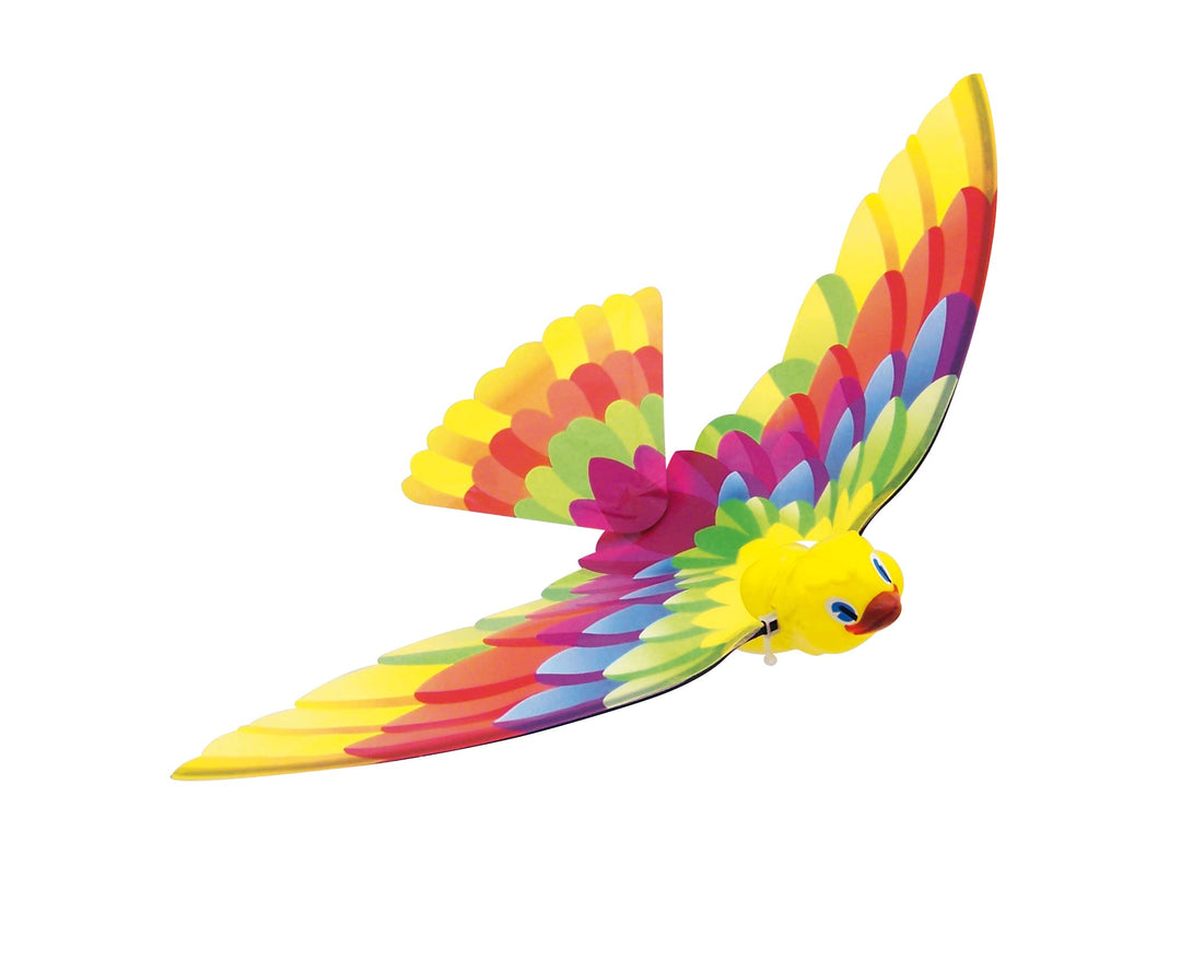 Caly Timmy Bird