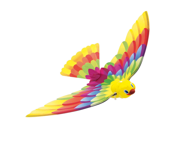 Caly Timmy Bird