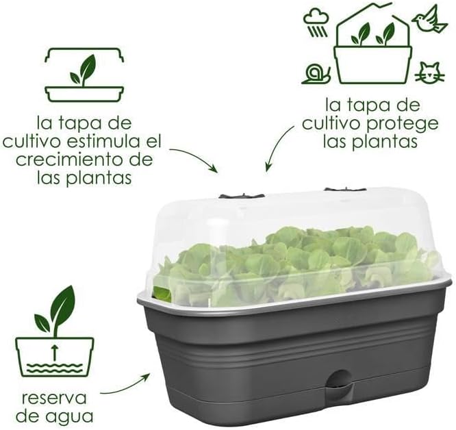 elho Green Basics Anzucht Schale Allin1 39 - Anzuchtset - 100% recyceltem Plastik - Ø 39.0 x H 15.2