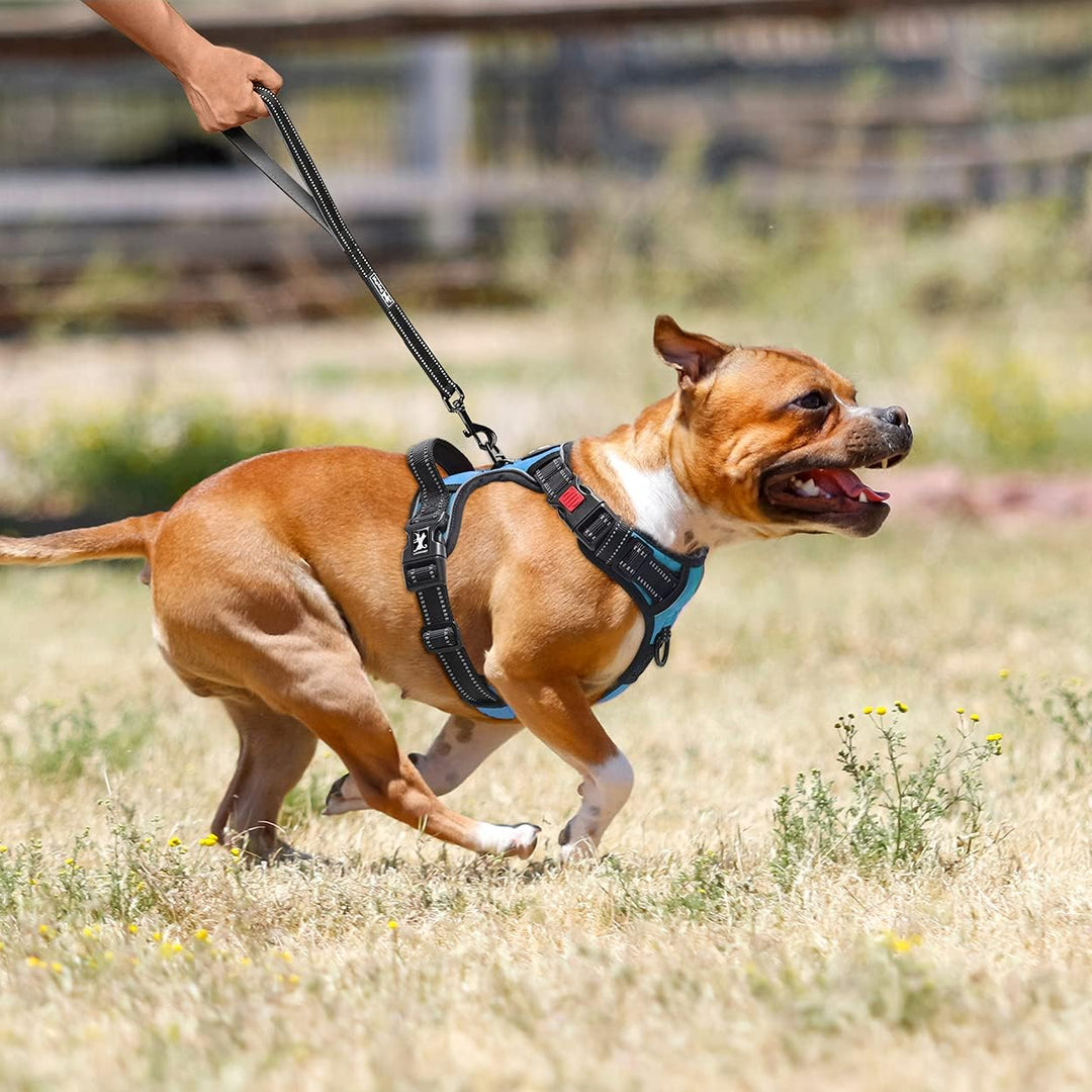 PoyPet Keine Pull Hundegeschirr Front Reflektierende Pet Weste für Hunde mit Einfache Kontrolle Grif