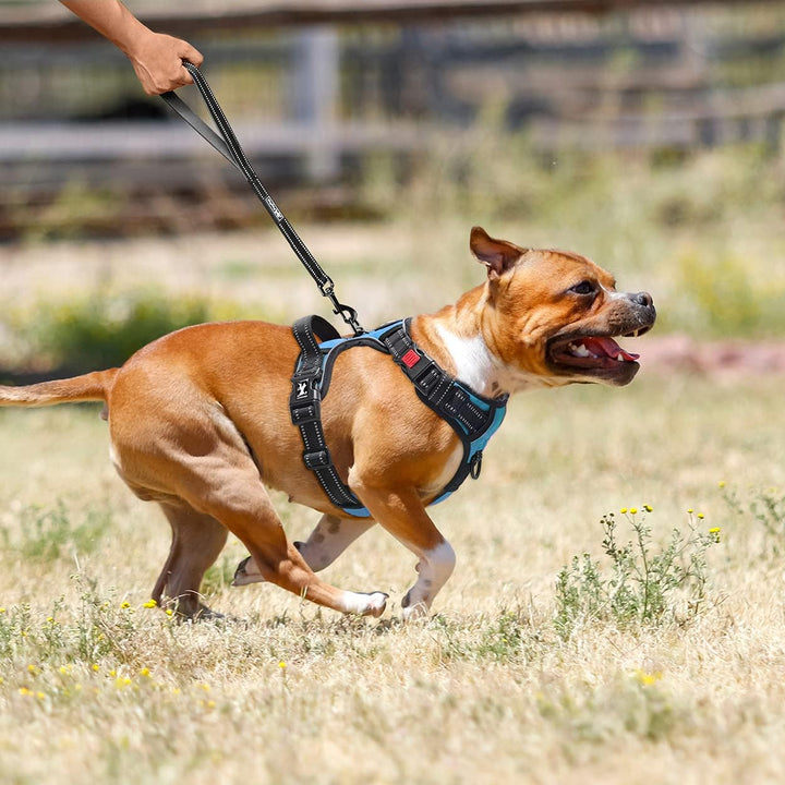 PoyPet Keine Pull Hundegeschirr Front Reflektierende Pet Weste für Hunde mit Einfache Kontrolle Grif
