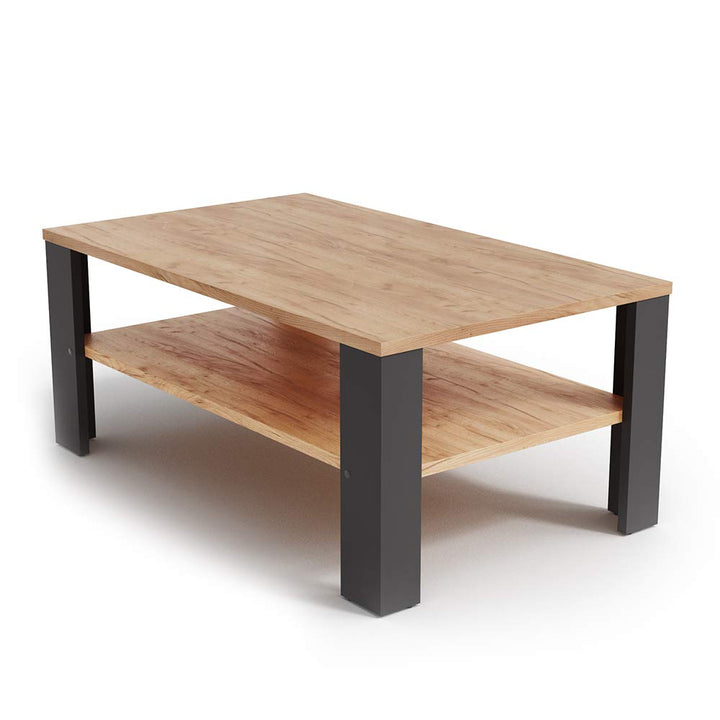 Vicco Couchtisch 100 x 60 cm Wohnzimmertisch Beistelltisch Sofatisch Kaffeetisch (Anthrazit