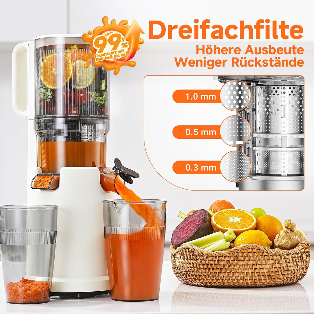 AAOBOSI Entsafter Gemüse und Obst mit 2 Geschwindigkeitsmodi - Slow Juicer mit Reinigungsbürste und