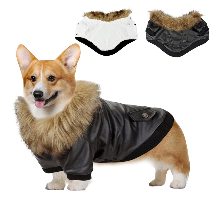 PETCUTE Hunde Winterjacken Wintermäntel für Hunde Hundebekleidung für Hunde grosse welpen Winterjack