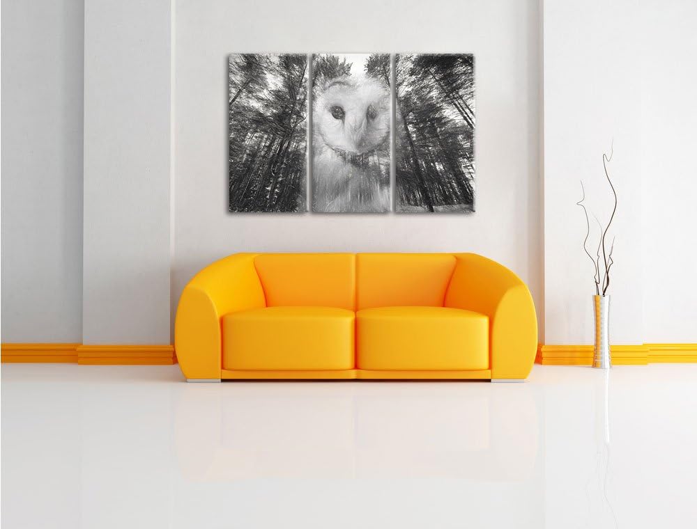 Pixxprint Portrait Einer Eule als Leinwandbild/Grösse: 3 Teilig (120x80) cm/Wandbild/Kunstdruck/fert