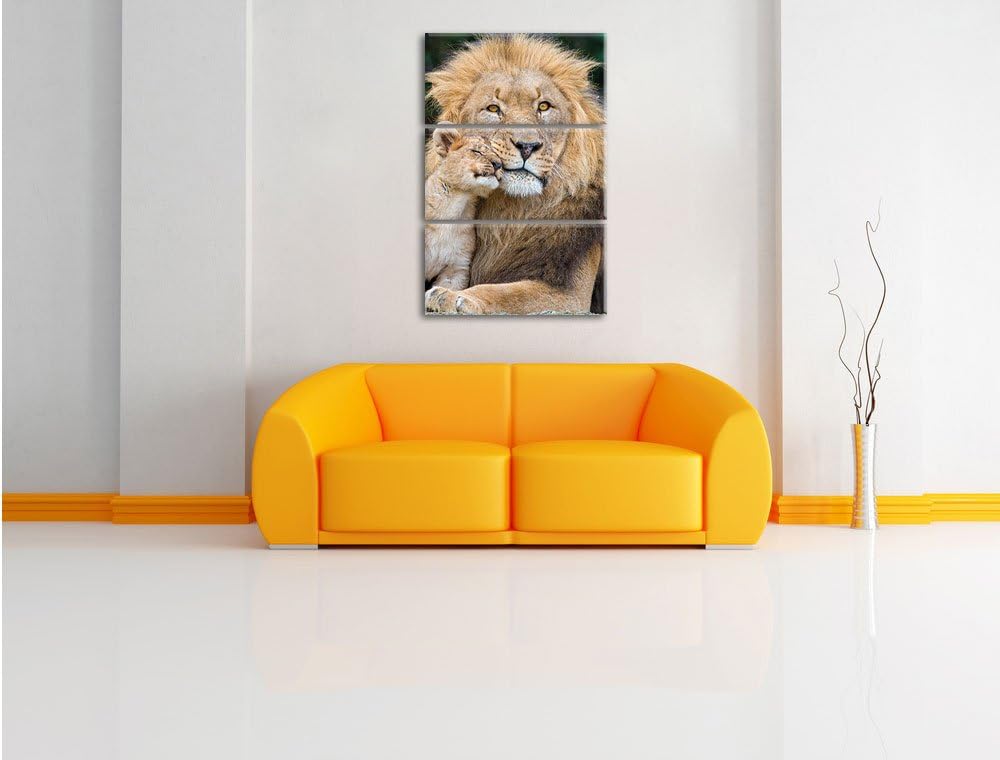 Pixxprint schöner Löwe mit Jungtier als Leinwandbild/Grösse: 3 Teilig (120x80) cm/Wandbild/Kunstdruc