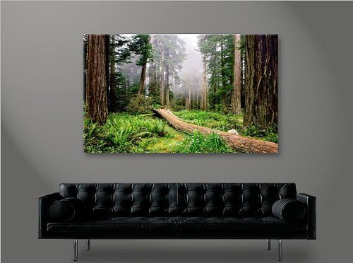 islandburner Bild Bilder auf Leinwand Wald V2 1p XXL Poster Leinwandbild Wandbild Dekoartikel Wohnzi