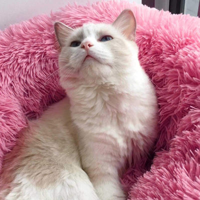 PETCUTE Hundebett Katzenbett Flauschige Marshmallow Katzen Bett Waschbar Runde Katzenkörbchen Weiche