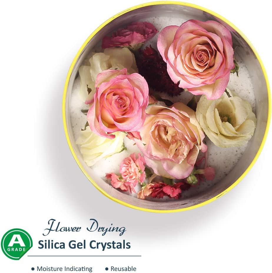 Wisedry Silica Gel Blumen Trocknen 10 LBS (4,5 kg), Kieselgel Trockenmittel für Trockenblumen, 2 Pac