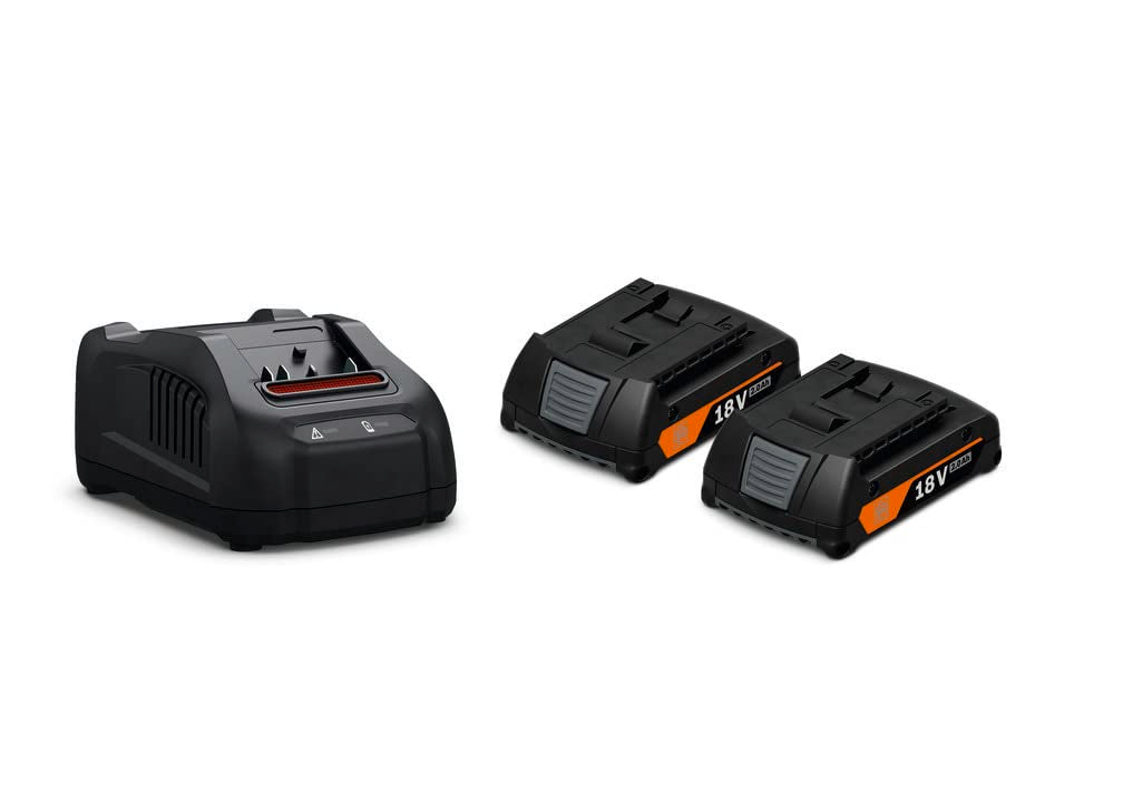 Fein Akku Starterset GBA 18 V 2,0 AH AS (2 Li-Ionen Akkus 2,0 AH + Ladegerät, für AMPShare/Bosch Pro