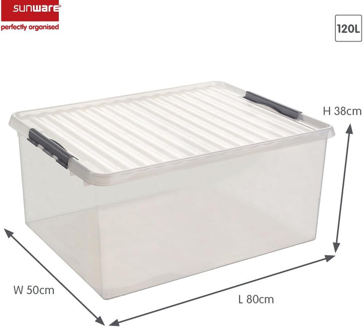 Sunware Box, Plastik, Transparent Metallic, Einheitsgrösse