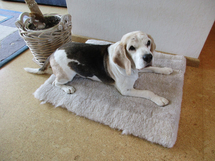Engel Naturfelle Liegedecke Teppich für Katze und Hund Lammfell (Patch) 140x60cm perl graubeige, Per
