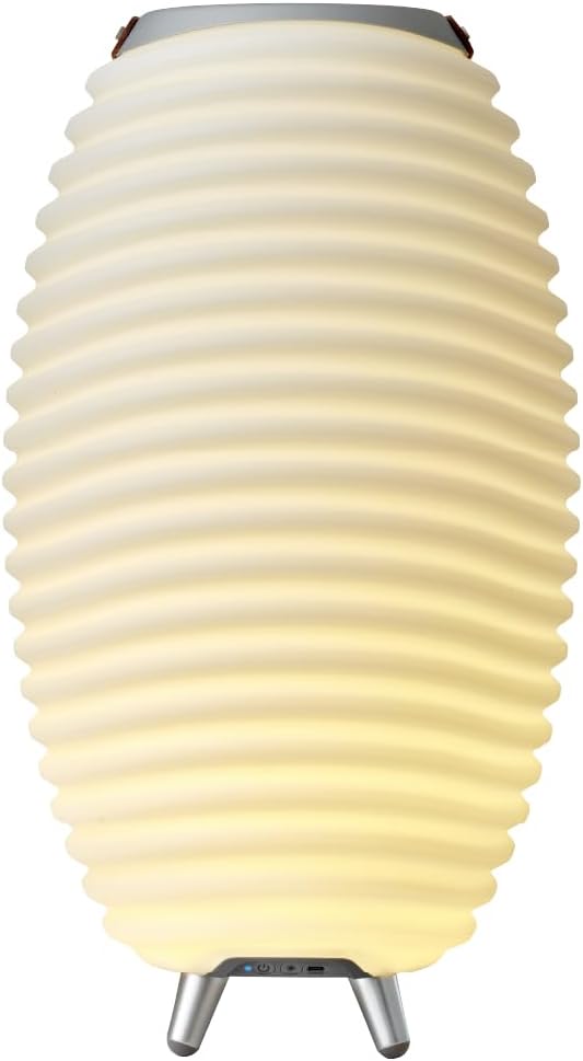 Kooduu Synergy 50 - Bluetooth Lautsprecher mit Lampe - Weinkühler-Funktion | 2L Kühlfach - Dimmer mi