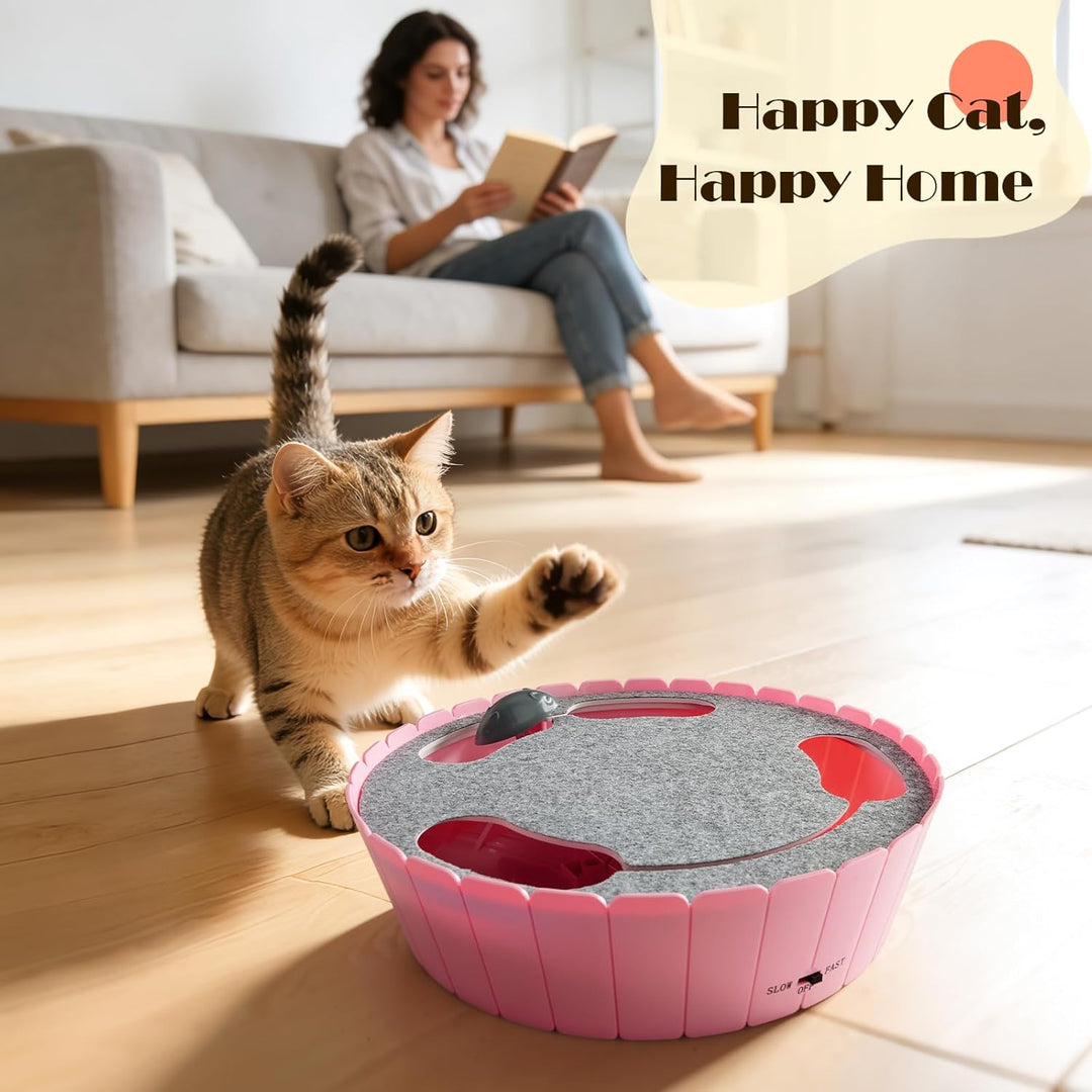 Pawaboo Interaktives Katzenspielzeug mit Bewegter Maus, Elektronisches Versteck- und Suchspiel, Auto