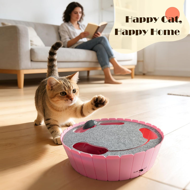 Pawaboo Interaktives Katzenspielzeug mit Bewegter Maus, Elektronisches Versteck- und Suchspiel, Auto