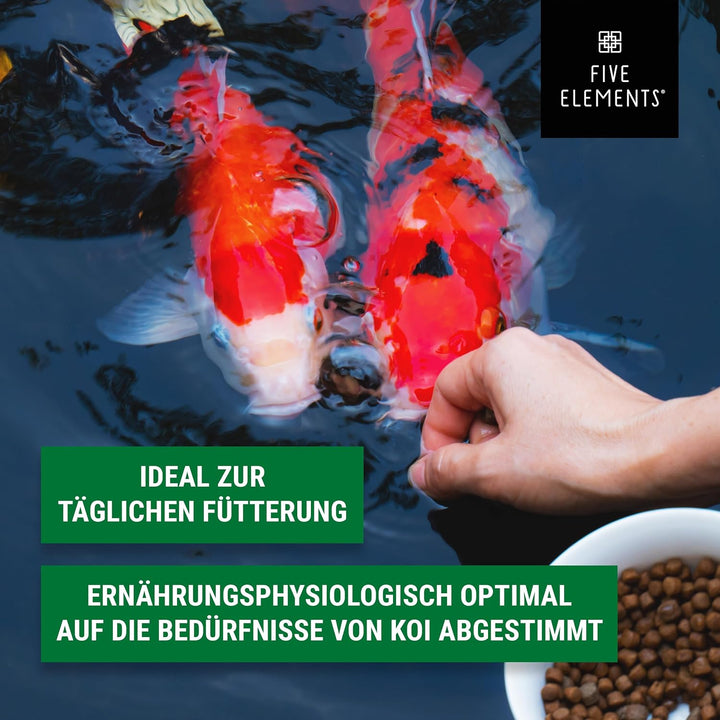 FIVE ELEMENTS Koi Allround Plus | 8,4 kg | hochwertiges Herbst-Futter für Koi | Lachsöl | Kurkuma zu