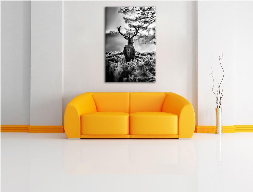 Pixxprint Hirsch Rivalen kämpfen als Leinwandbild/Grösse: 100x70 / Wandbild/Kunstdruck/fertig bespan