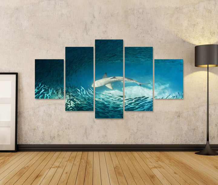 islandburner Bild auf Leinwand Hai Kleine Fische Ozean Natur Hintergrund Bilder Wandbilder Poster Le