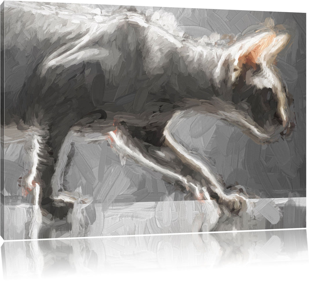 Pixxprint Einzigartige Sphynx Katze / 100x70cm Leinwandbild bespannt auf Holzrahmen/Wandbild Kunstdr
