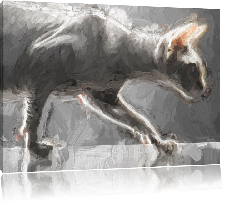 Pixxprint Einzigartige Sphynx Katze / 100x70cm Leinwandbild bespannt auf Holzrahmen/Wandbild Kunstdr