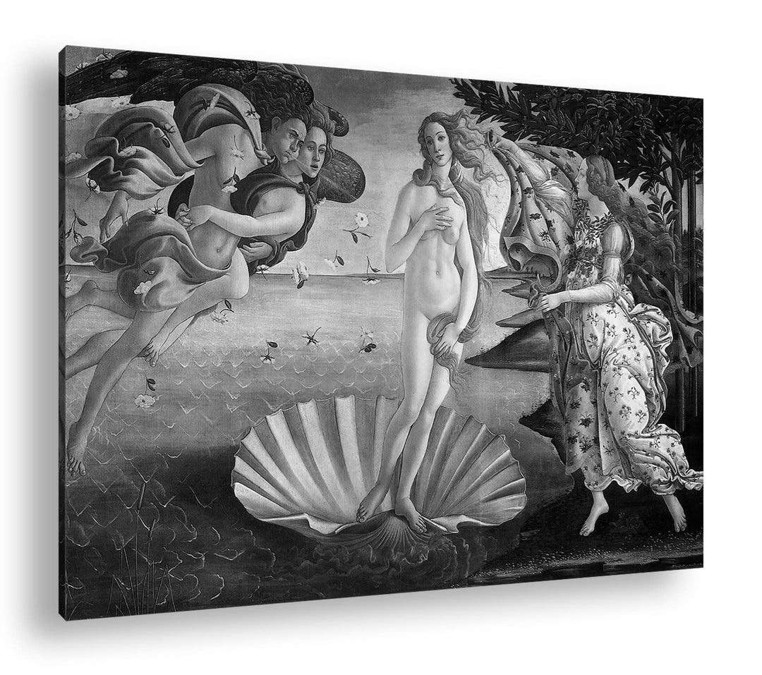 Die Geburt der Venus Format: 80x60 Effekt: Schwarz&Weiss als Leinwandbild, Motiv fertig gerahmt auf