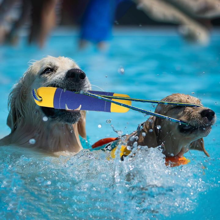 2 Stück Hundespielzeug Schwimmender Hundedummy Wasserspielzeug Hund für Wurf- und Apportierspiele an