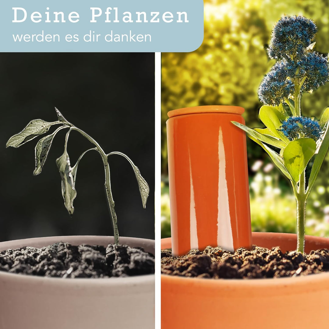 Terracotta Giesshilfe (3X 330 ml) handgefertigt für Bewässerung Zimmerpflanzen | Wasserstandsanzeige