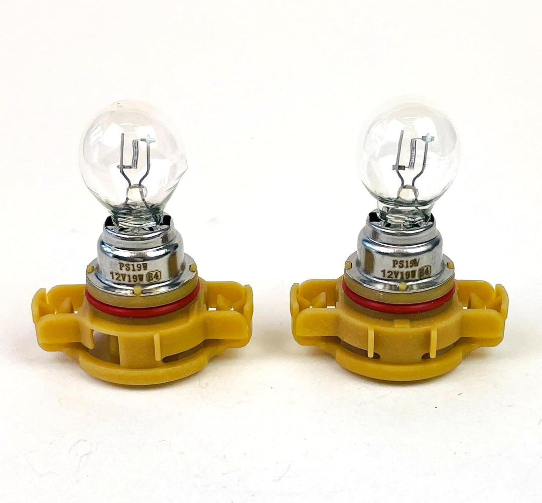 - 2 Stück PS19W Clear 12V PG20-1 19W Auto Lampen Glühbirnen Halogenlampe