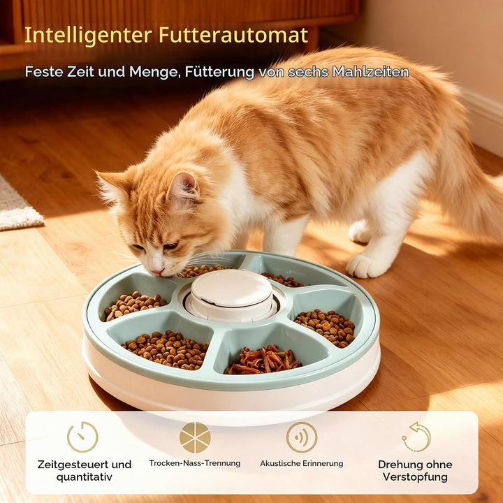 Futterautomat Katze, Futterautomat Katze Nassfutter, Nassfutterautomat für Katzen mit Timer, Katzenf