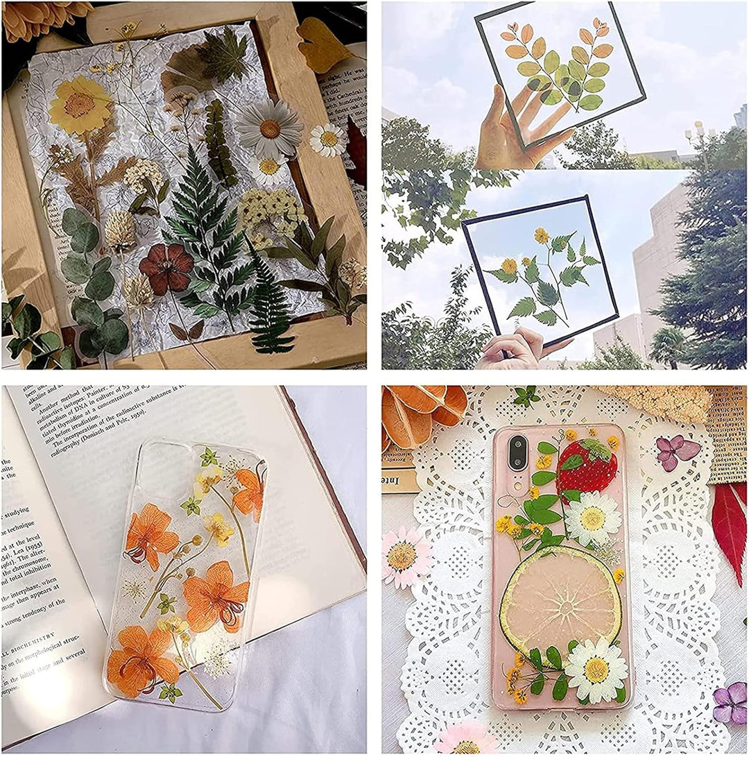 WANDIC Blumenpresse-Set, fortschrittliches Pflanzenpressebuch, grosses Holzkunst-Set für DIY-Kunstha