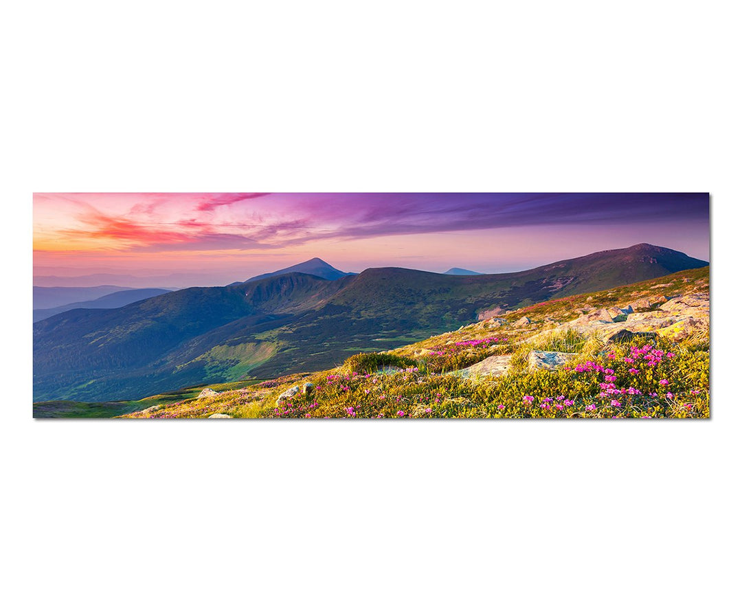 Paul Sinus Art Panoramabild auf Leinwand und Keilrahmen 150x50cm Ukraine Berge Blumenwiese Abendrot