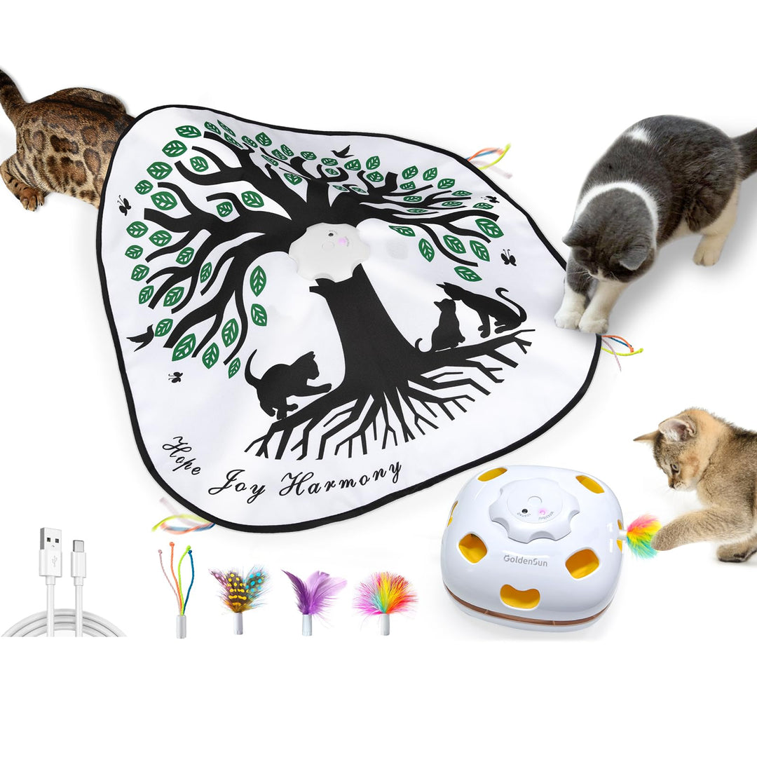 GoldenSun Katzenspielzeug, Interaktives 4-in-1 Katzen Spielzeug im Innenbereich, Selbstspielend, Auf
