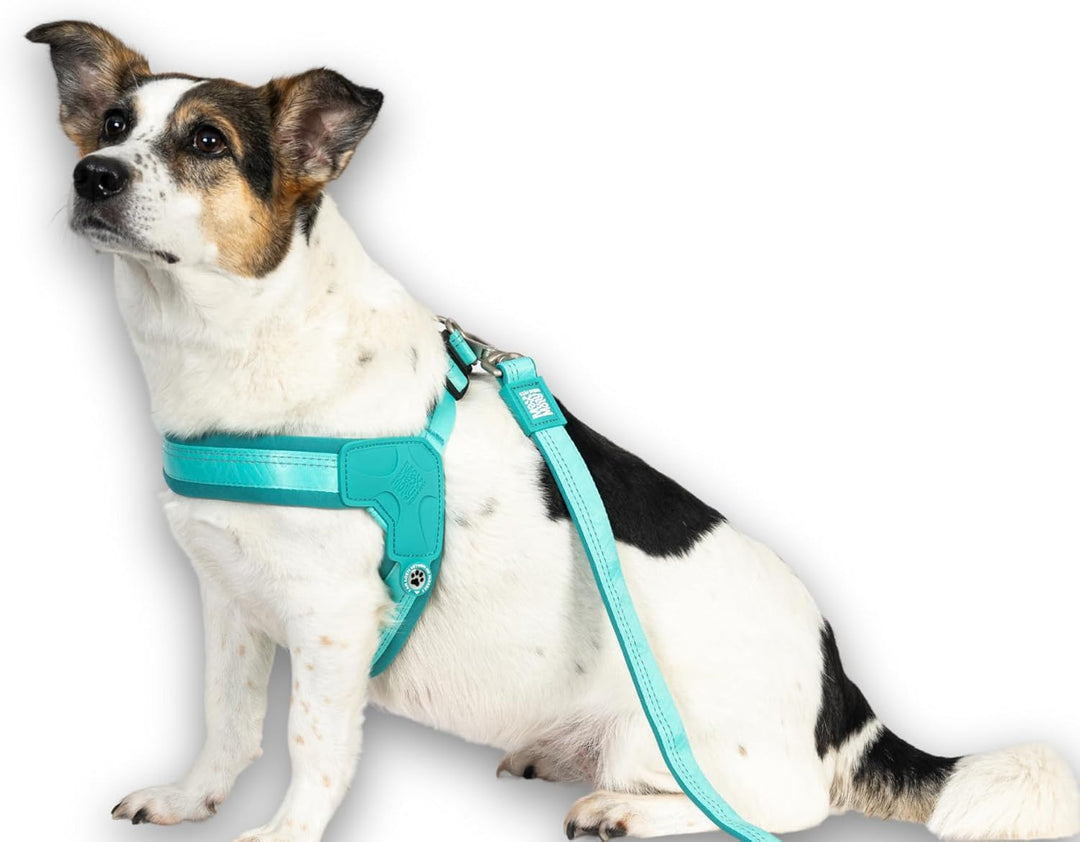 Max & Molly Q-Fit Hundegeschirr Mittelgrosse Hunde mit Gotcha! Smart ID Sicherheitsanhänger, Matrix