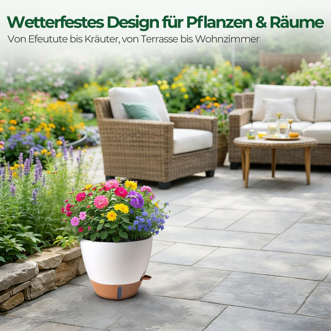 T4U 2er Set 25cm Selbstbewässernder Blumentopf mit Wasserstandsanzeige, ideal für Geigenfeige & Mons
