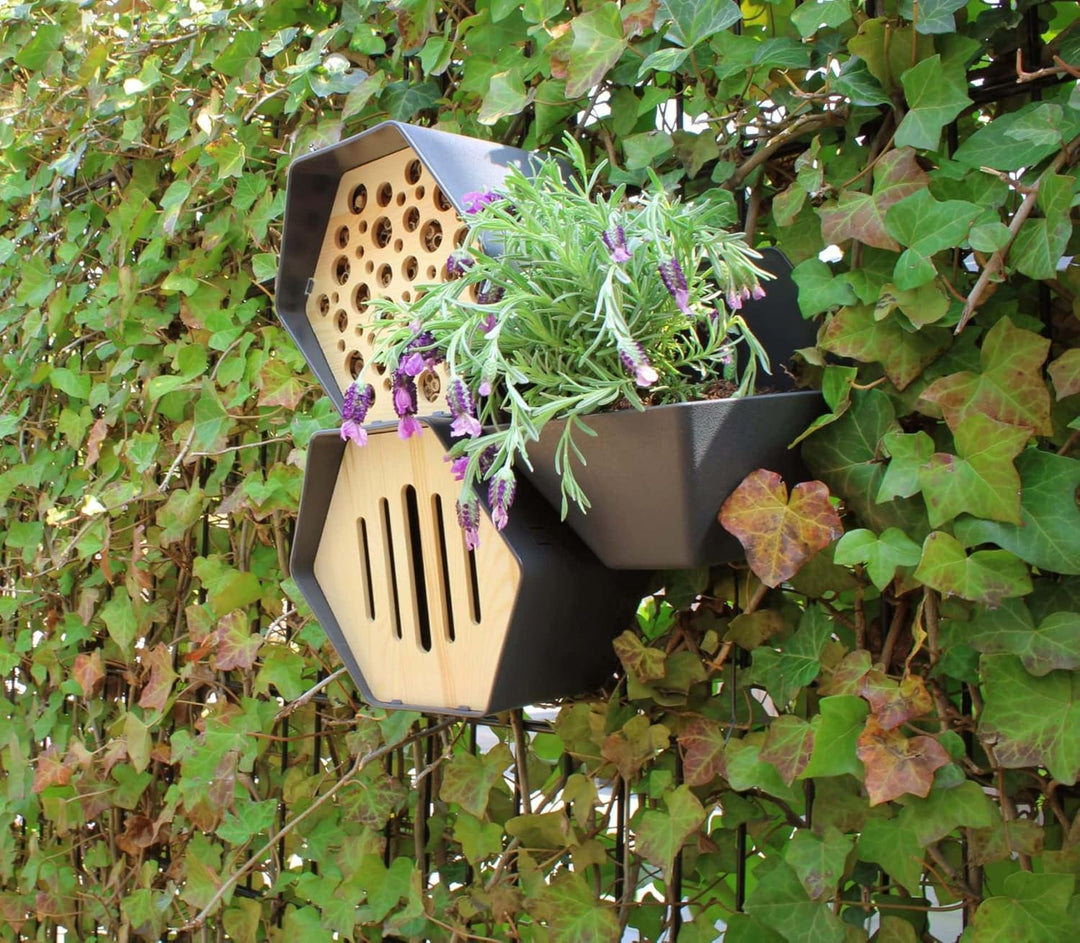 Capi Europe - Schmetterlingshaus Hive - 19x23x20 - Braun - CAPI Biodiversity Hive - AHBUB001 Braun H