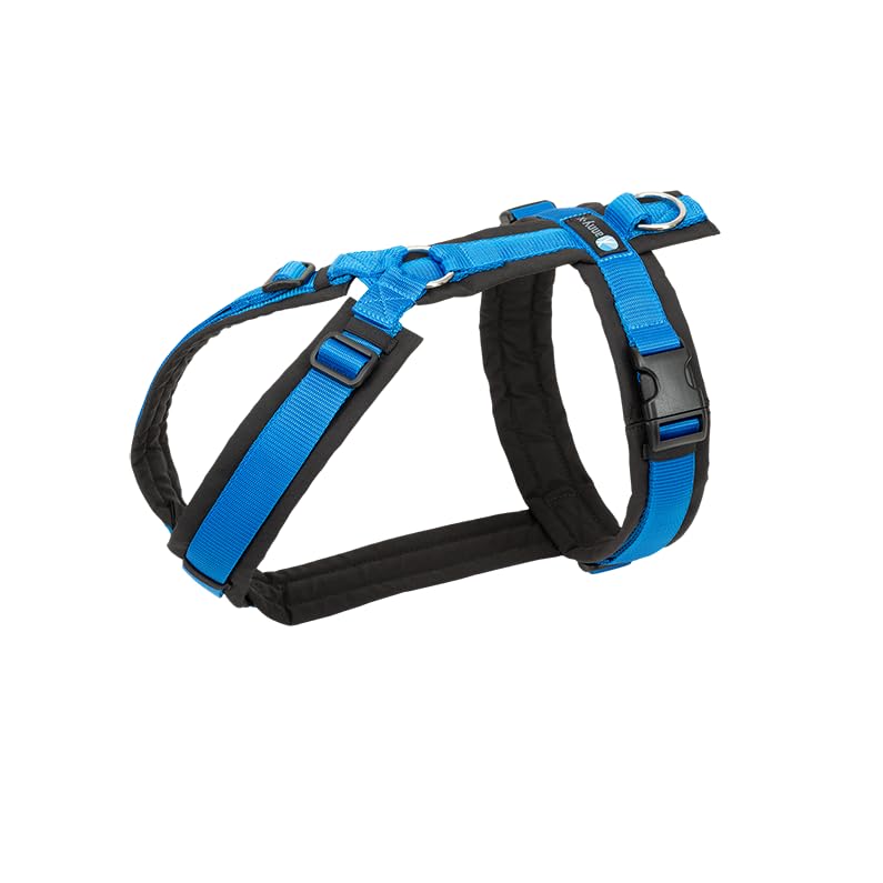 Anny-X Brustgeschirr Fun | Farbe Schwarz-Blau | Hundegeschirr in Grösse S (Brustumfang 52-64 cm) Sch
