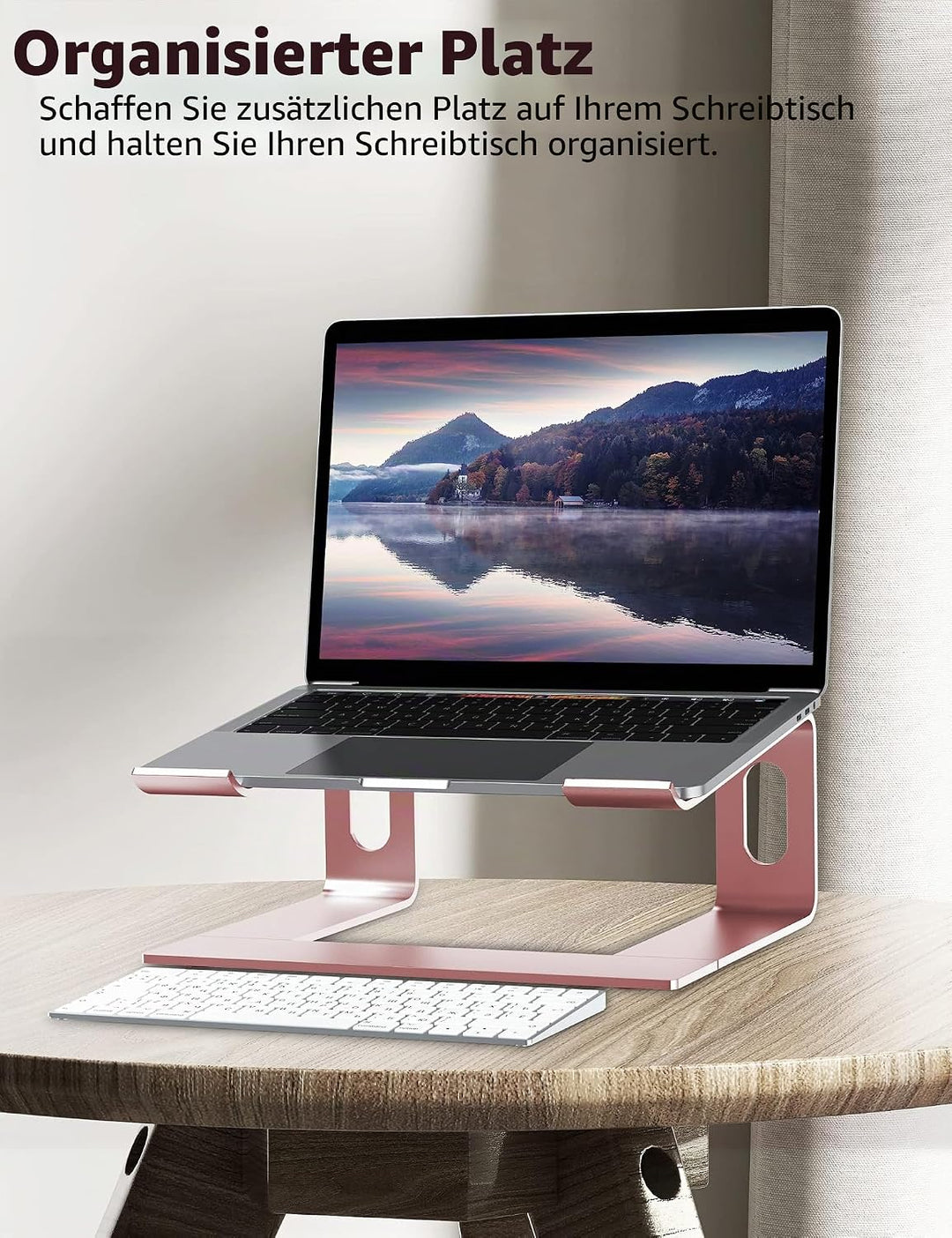 ALASHI Laptop-Ständer für Schreibtisch, Aluminium-Computer-Erhöhung, ergonomischer Notebook-Halter,