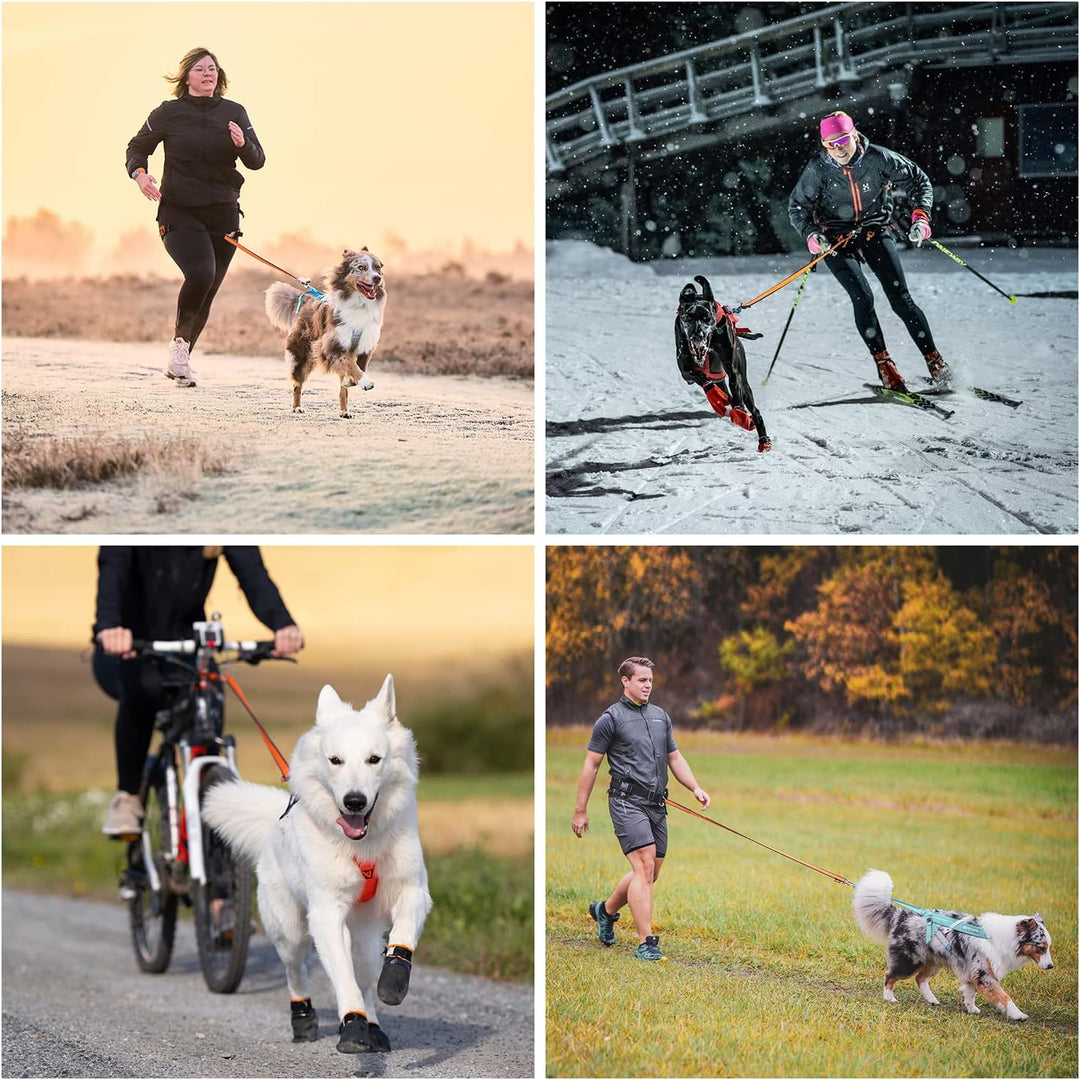 Non-stop dogwear Bungee Leash 2.0 | 2,8m | 1641 | bikejøring, Scootering, skijøring