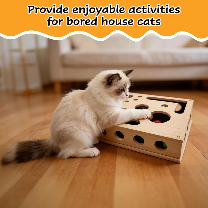 Beschäftigungsbox Katzen, Kratzpuzzle Spielbox Holz Katzens, Interaktives Spielzeug Katzens mit Bäll