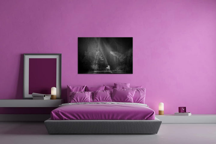 deyoli Einhorn auf einer Waldlichtung Format: 80x60 Effekt: Schwarz&Weiss als Leinwandbild, Motiv fe