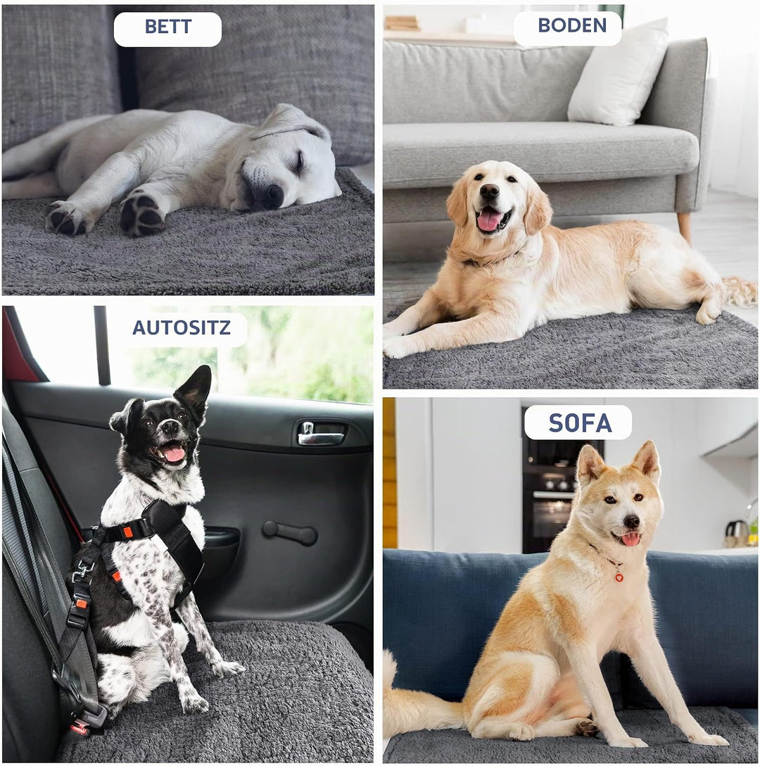 Wasserdicht Hundedecke Katzendecken Waschbar, wasserdichte Decke für Unterwegs Hundesofa Schutzdecke