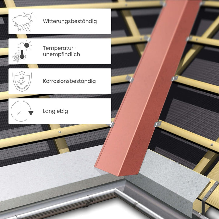 INEFA Ortblech ohne Wasserfalz aus Aluminium 200cm, Silber, Ortgangblech für optimale Dachentwässeru