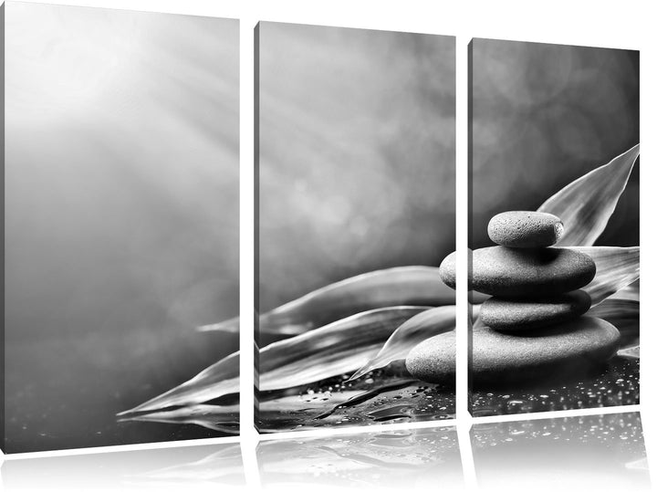 Pixxprint Zen Steine mit Blättern als Leinwandbild/Grösse: 3 Teilig (120x80) cm/Wandbild/Kunstdruck/