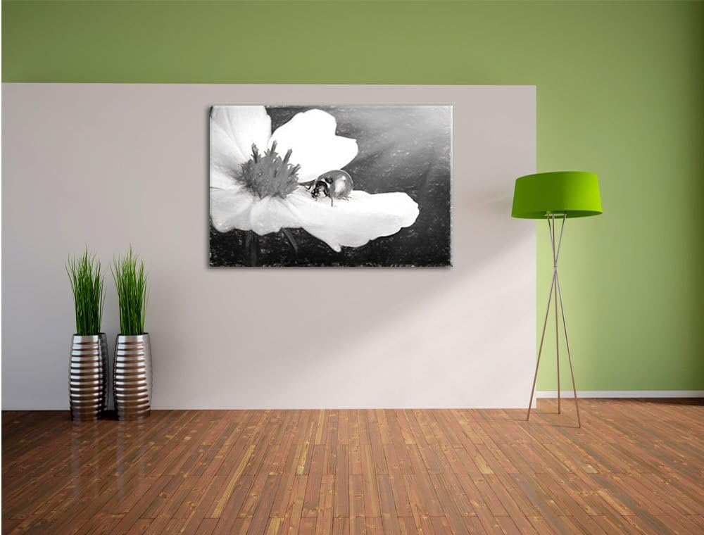Pixxprint Marienkäfer auf Einer weissen Blume Kunst Kohle Effekt, Format: 100x70 auf Leinwand, XXL r
