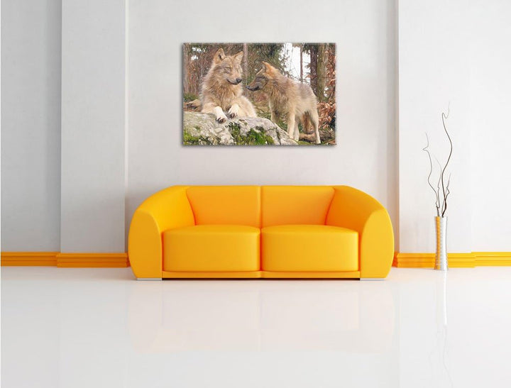 Pixxprint Wölfe im Wald / 100x70cm Leinwandbild bespannt auf Holzrahmen/Wandbild Kunstdruck Dekorati