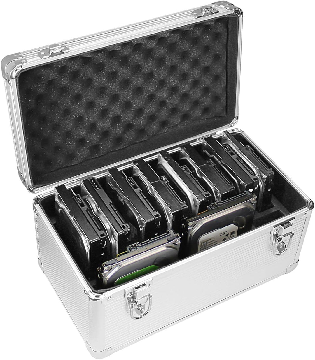 GLOTRENDS Festplattenbox für interne Festplattenspeicherung und Schutz B10, B10