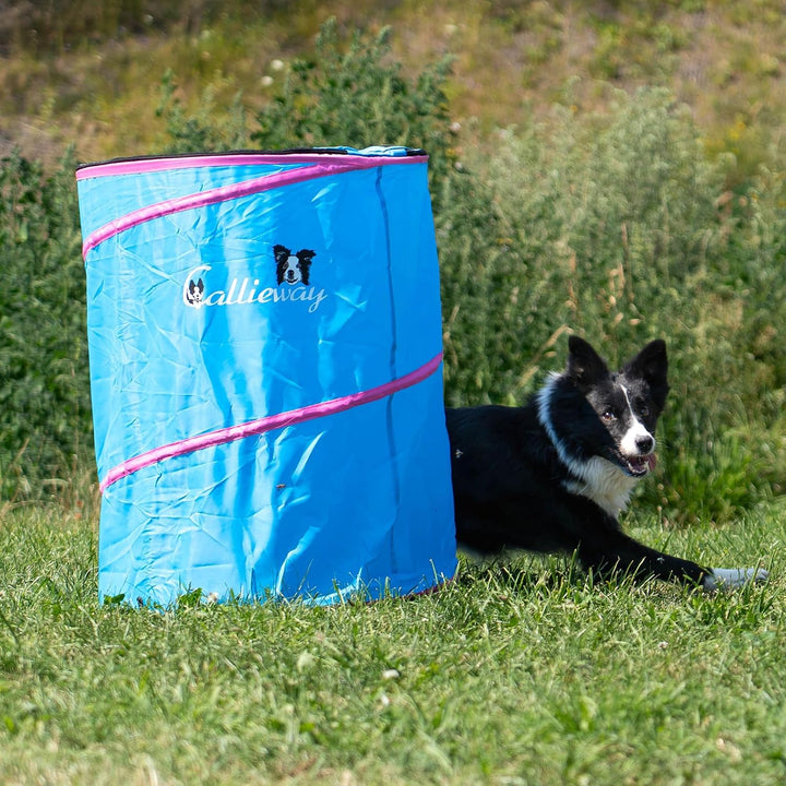 Callieway Hoopers Agility Barrel – Tonne/Fass für Hundetraining (Doppelpack, Blau) | Leicht, stabil
