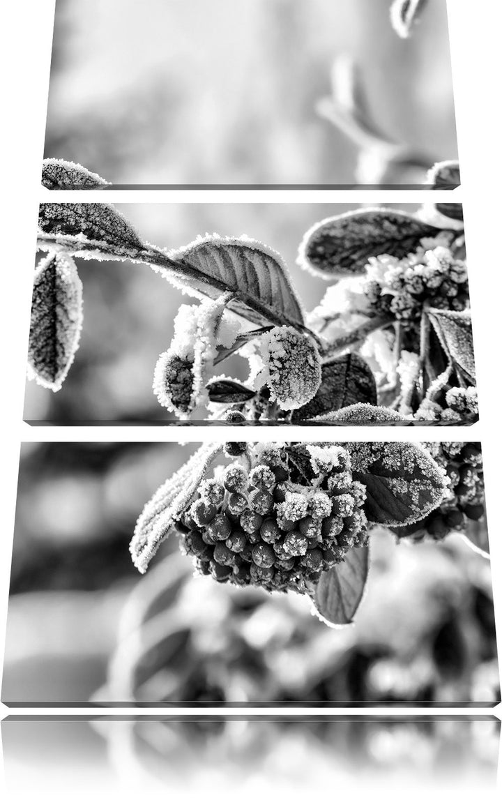 Pixxprint Monocrome, Vogelbeeren im Winter 3-Teiler Leinwandbild 120x80 Bild auf Leinwand